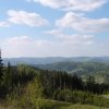 Jaro (10)